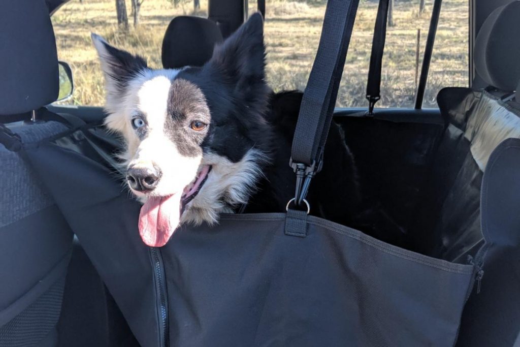 Dog Backseat Car Hammock