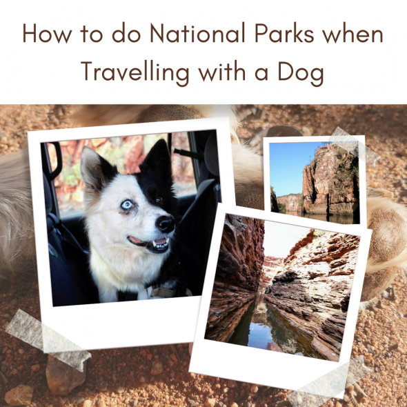 national parks with your dog