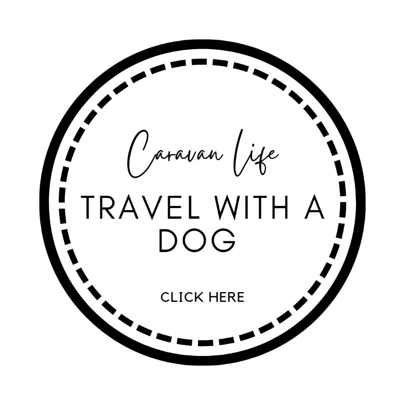 Travel Australia with a dog 