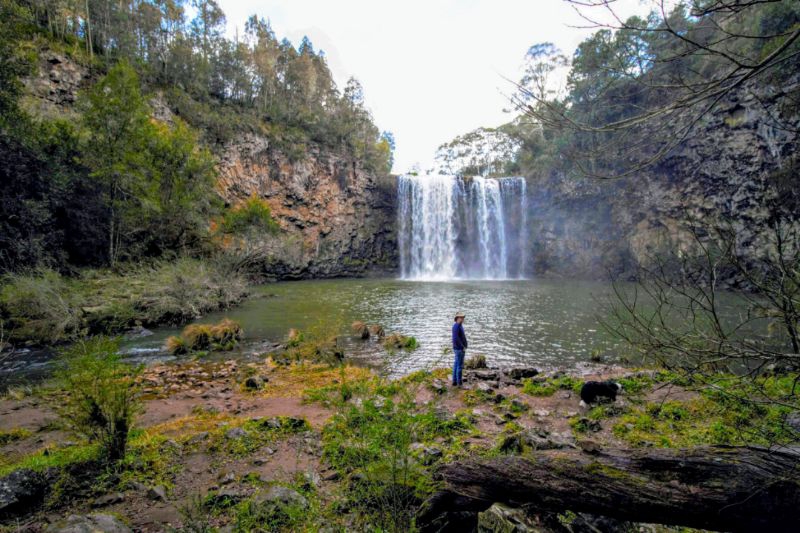 are dogs allowed at dangar falls